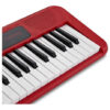 Teclado Casio Ct-s200rdc2 Br Casiotone MCXQualysom