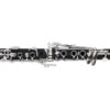 Clarinete Michael Wclm40n MCXQualysom