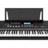Teclado Arranjador Roland E-x50 MCXQualysom