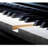 Piano Digital Casio Celviano Gp500 Hibrido Preto MCXQualysom