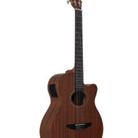 Violão Nylon Tagima Vegas T Ntms Mahogany MCXQualysom