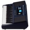 Teclado Arranjador Roland E-x30 MCXQualysom