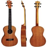 Ukulele Tenor Shelby Su25m Stnt Mogno MCXQualysom