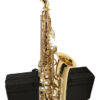 Sax Alto Michael Wasm30n MCXQualysom