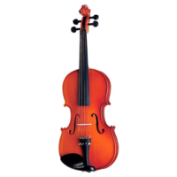 Violino e Violoncelo