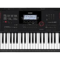 Teclado Casio Ct-x3000c2-br MCXQualysom