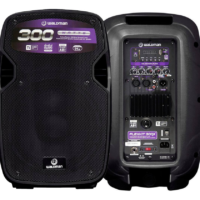 Kit Caixas Pa 10 Ativa / Passiva Waldman Fk-300x C/ Cabo De